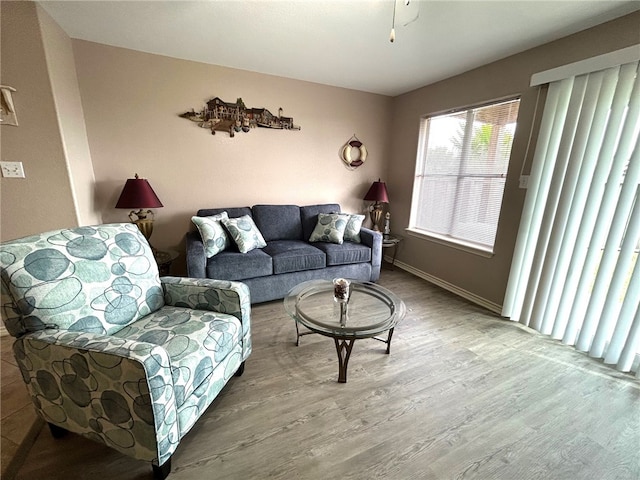 living room featuring hardwood / wood-style floors