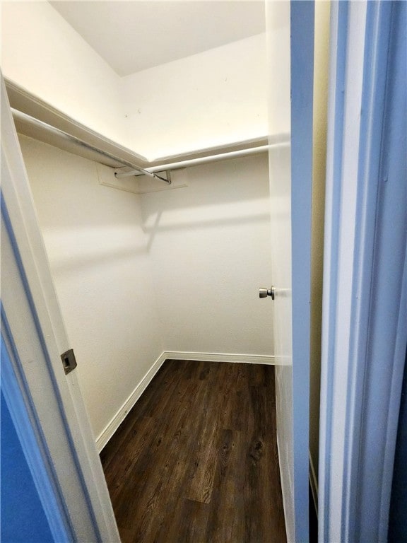 spacious closet featuring dark wood-type flooring