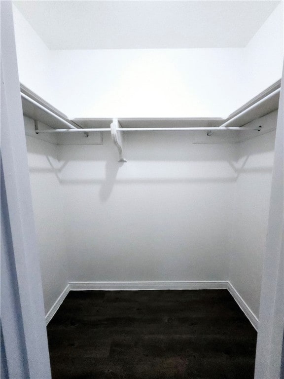 spacious closet with dark hardwood / wood-style floors