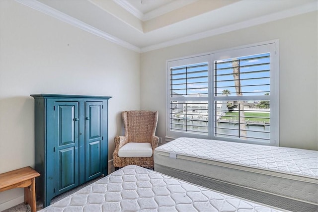 403 Marina Dr, Port Aransas, TX 78373 - bedroom with a tray ceiling, crown molding, and carpet flooring