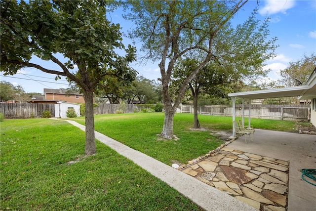 view of yard with a patio area and a shed