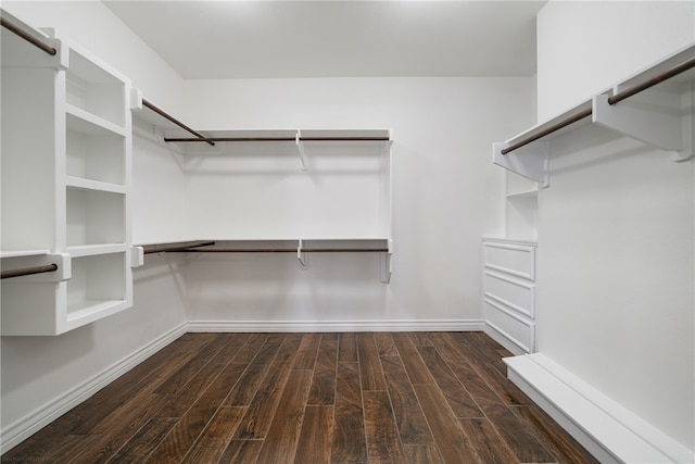 walk in closet featuring dark hardwood / wood-style flooring