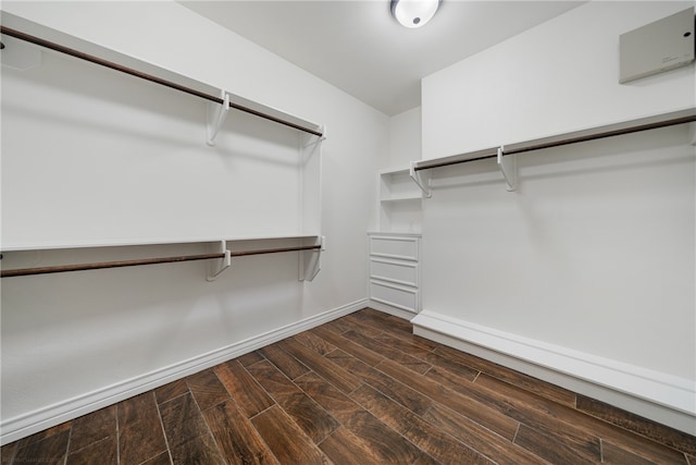 walk in closet featuring dark hardwood / wood-style flooring