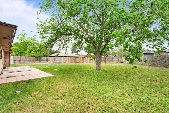 view of yard featuring a fenced backyard and a patio