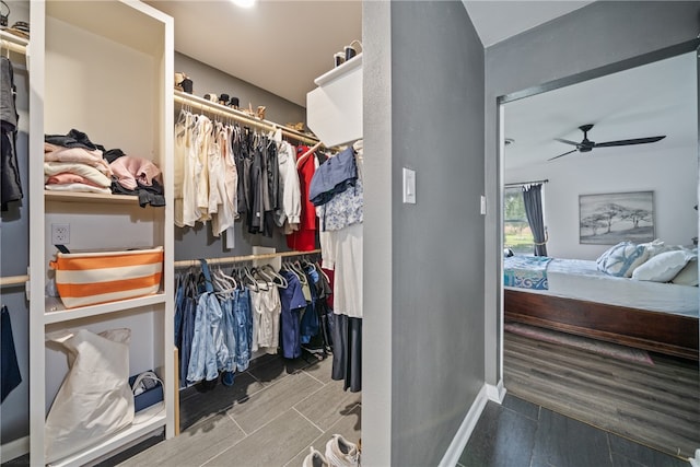 walk in closet featuring wood-type flooring and ceiling fan