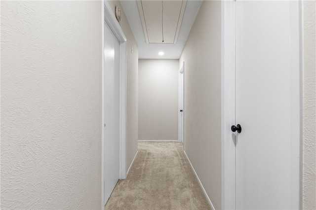 hallway featuring light carpet