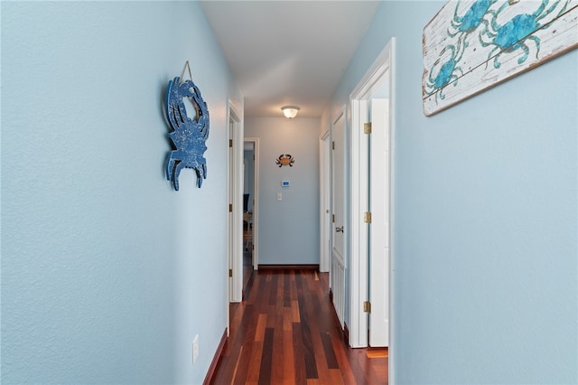 corridor with dark hardwood / wood-style flooring