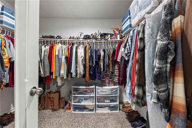 walk in closet with carpet flooring