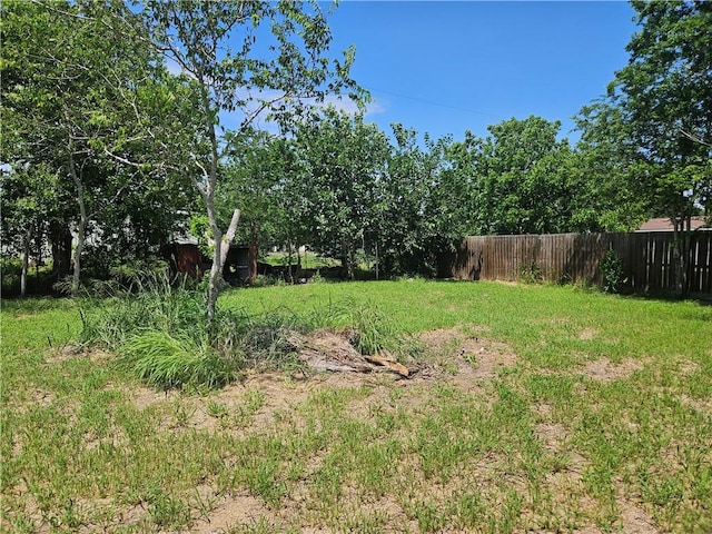909 Johnson St, Woodsboro, TX 78393 - view of yard