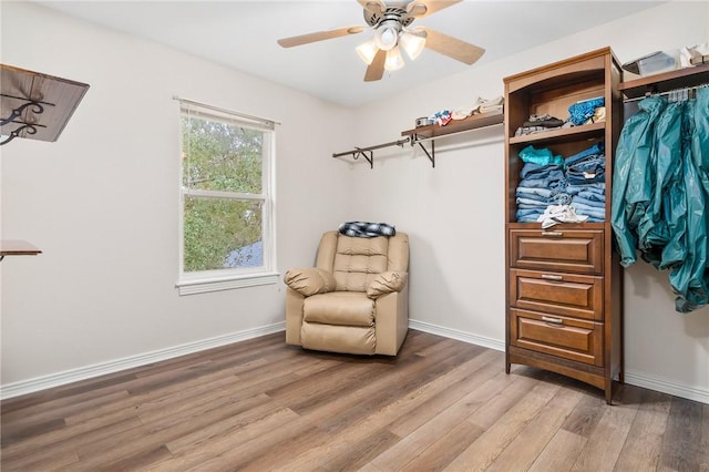 living area with ceiling fan and light hardwood / wood-style flooring