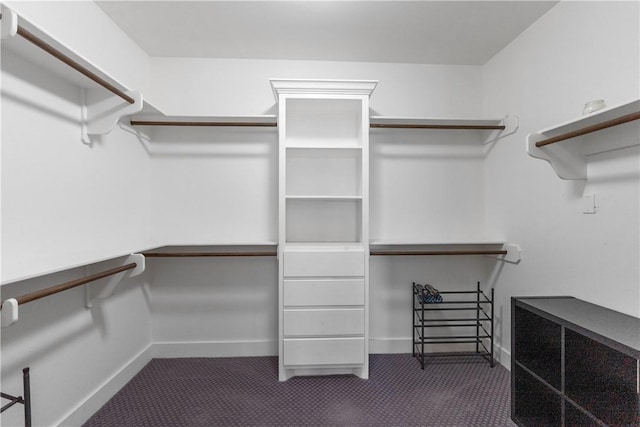 spacious closet with carpet