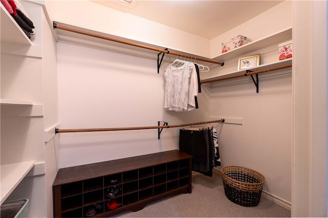 spacious closet featuring carpet