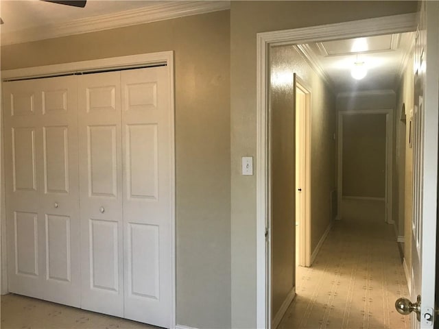 hallway with crown molding