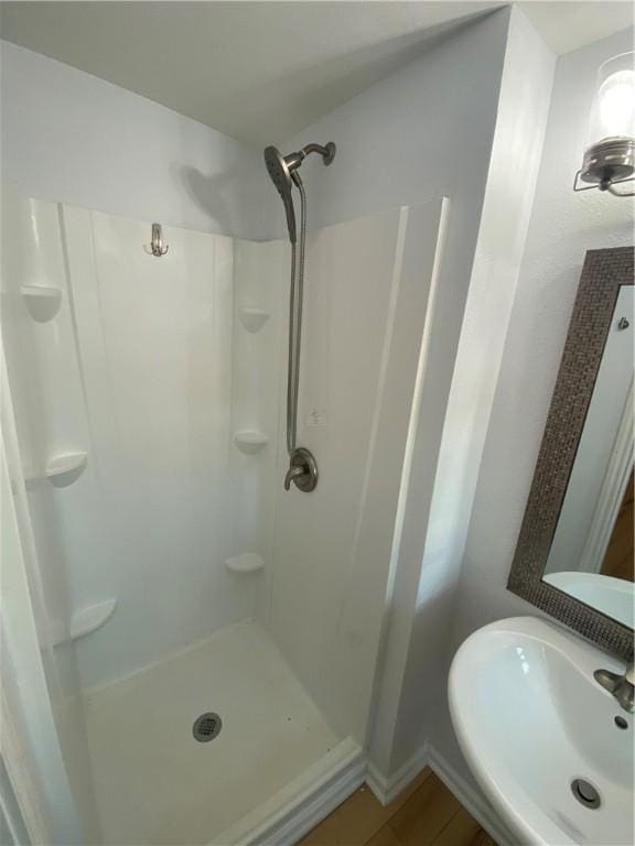 bathroom with a shower stall and a sink
