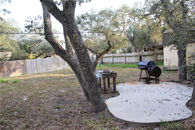 view of yard featuring a patio area