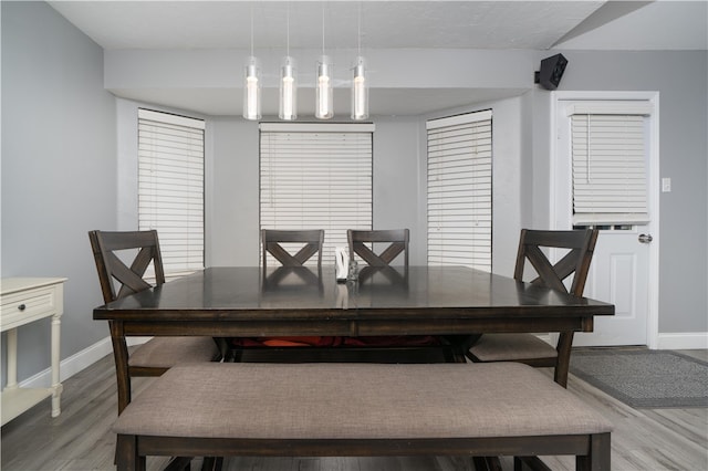 dining room with hardwood / wood-style flooring