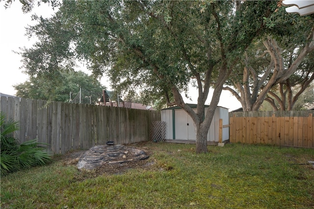 view of yard with a shed