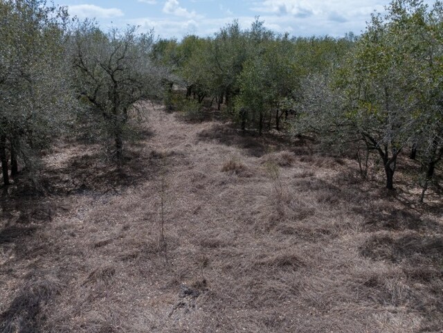 15820 County Road 502, Sinton, TX 78387 - photo 5