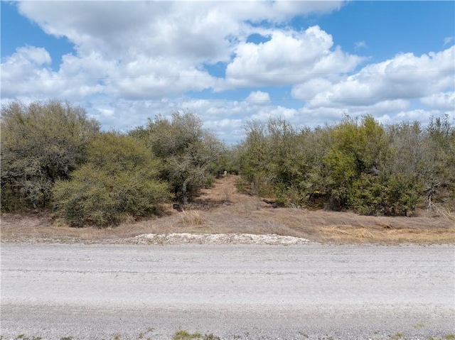 15820 County Road 502, Sinton, TX 78387 - photo 1