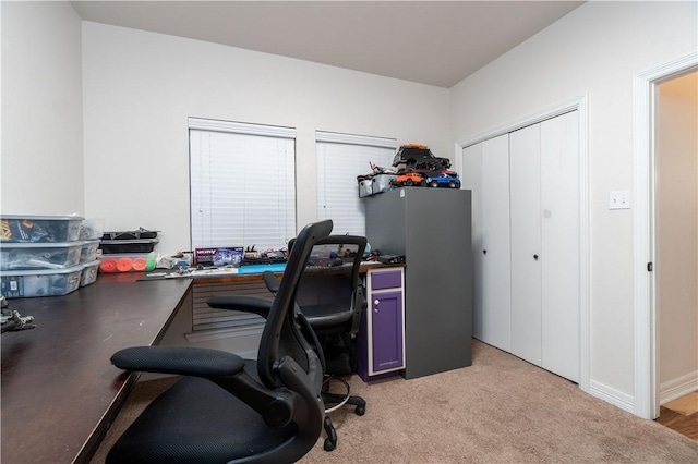 office featuring light colored carpet