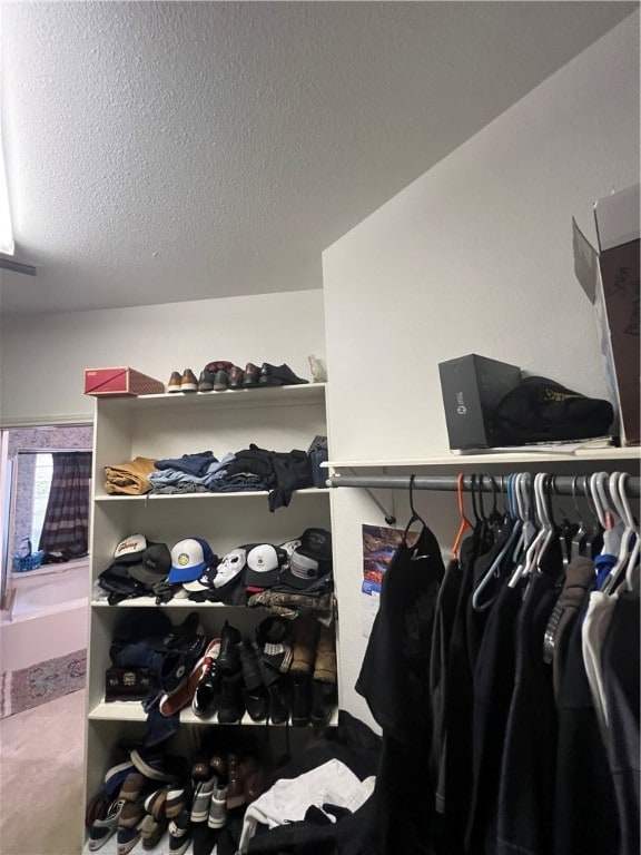 view of walk in closet