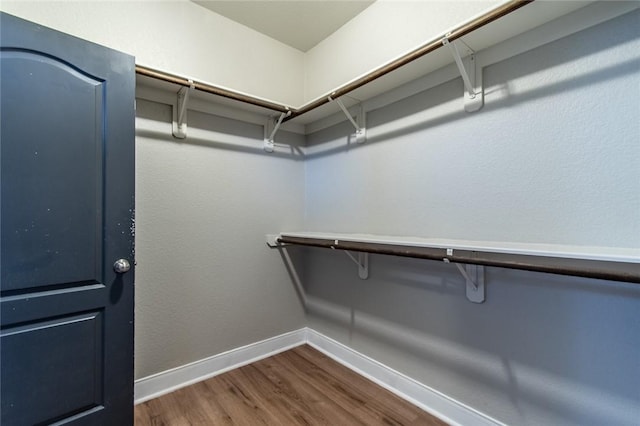 8022 Calgary Dr, Corpus Christi, TX 78414 - walk in closet featuring dark wood-style floors