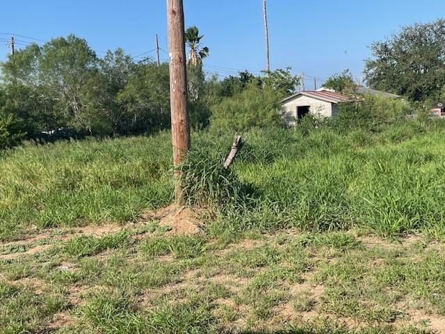 301 E Harald St, Hebbronville, TX 78361 - photo 4