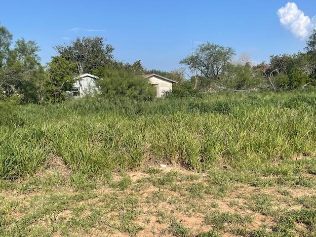 301 E Harald St, Hebbronville, TX 78361 - photo 3