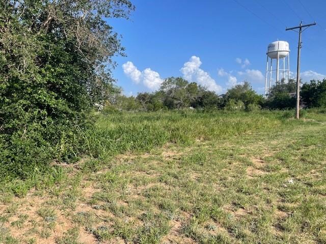 301 E Harald St, Hebbronville, TX 78361 - photo 2