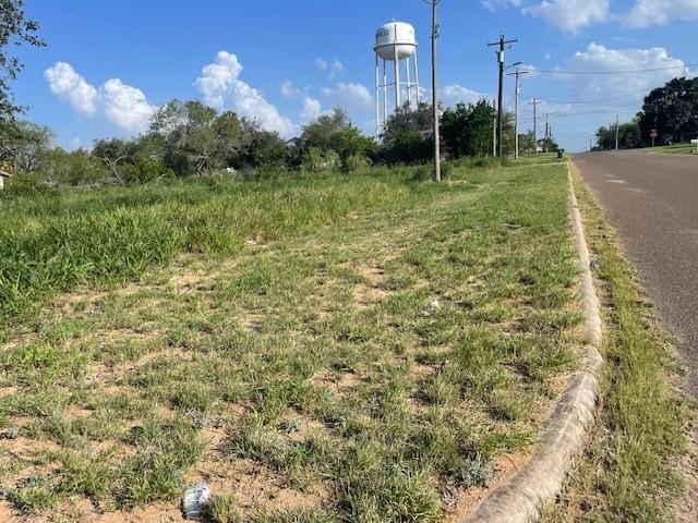 301 E Harald St, Hebbronville, TX 78361 - photo 1