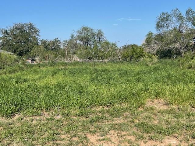 301 E Harald St, Hebbronville, TX 78361 - photo 5