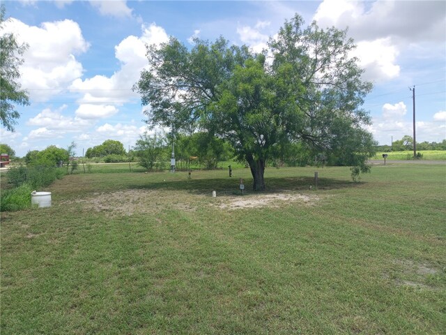 137 County Road 302, George West, TX 78022 - photo 11