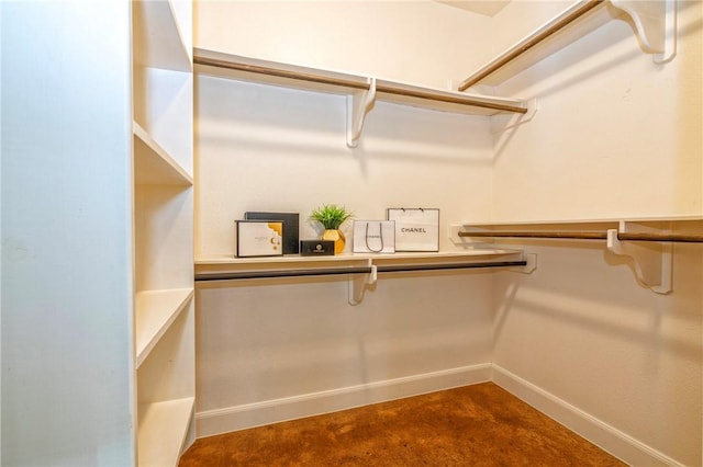 4609 Tuscan Way, Corpus Christi, TX 78410 - view of walk in closet