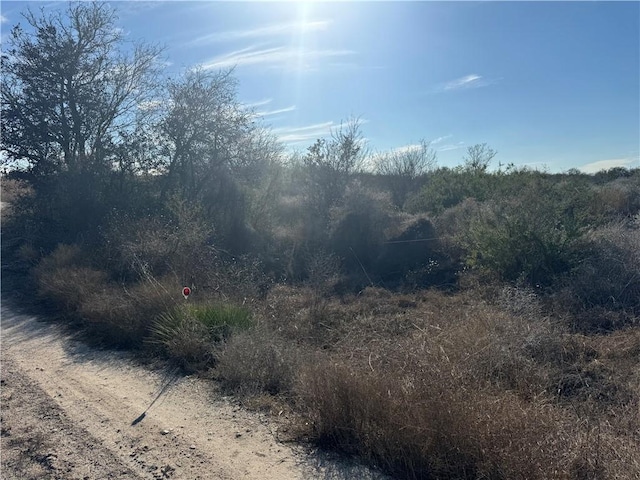 00 Hidden Creek Dr, Orange Grove TX, 78372 land for sale