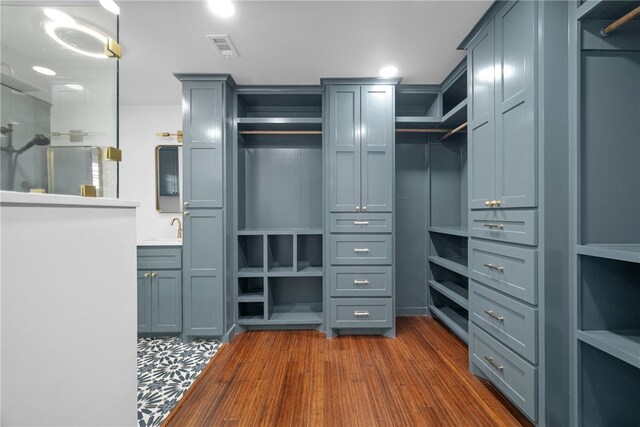 spacious closet featuring dark hardwood / wood-style floors and sink