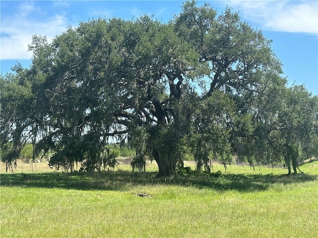 0000 Post Oak Rd, Goliad, TX 77963 - photo 2
