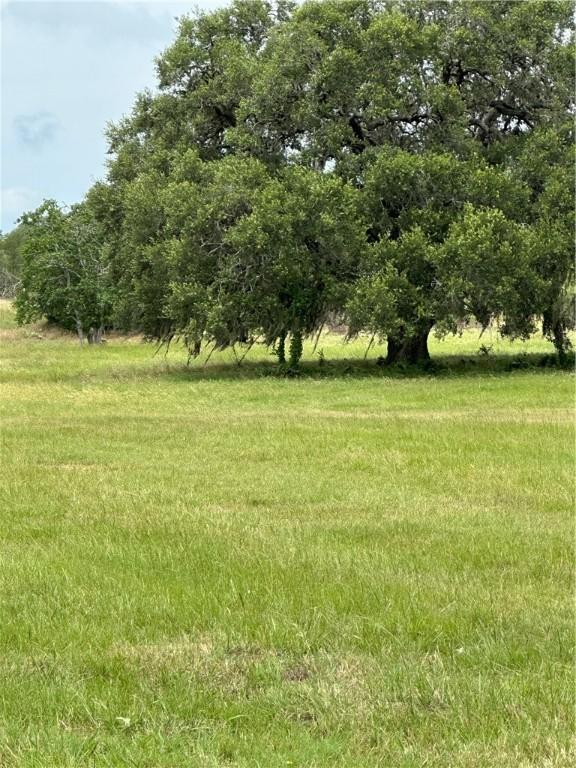 0000 Post Oak Rd, Goliad, TX 77963 - photo 9