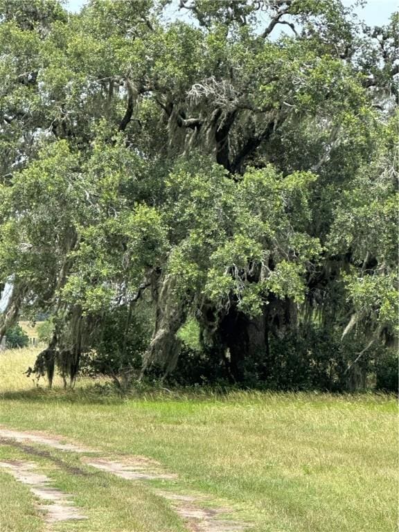 0000 Post Oak Rd, Goliad, TX 77963 - photo 10