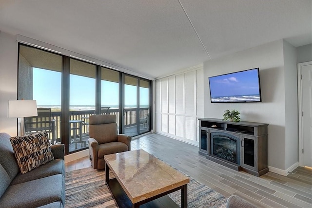 living room with floor to ceiling windows and wood-type flooring