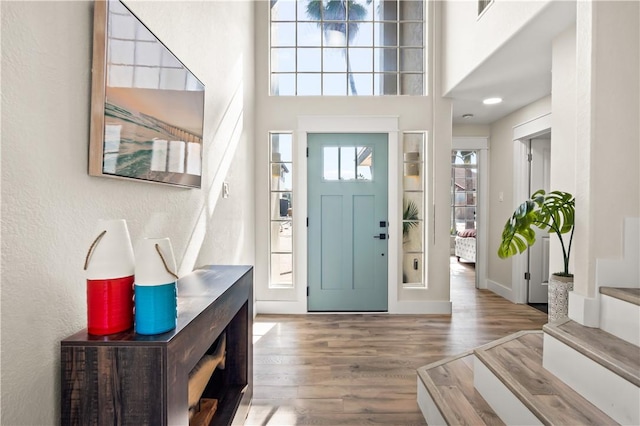 entrance foyer with wood finished floors, a towering ceiling, and a healthy amount of sunlight