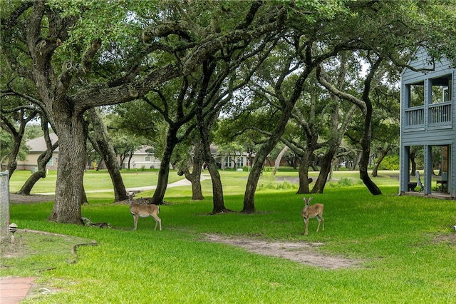 view of home's community featuring a yard