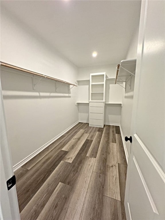 spacious closet with hardwood / wood-style flooring