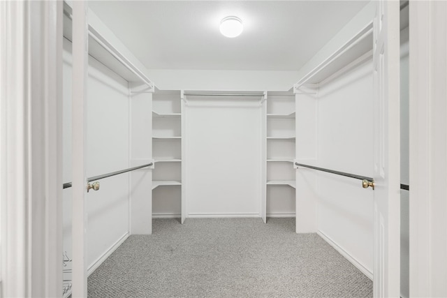 walk in closet featuring light colored carpet