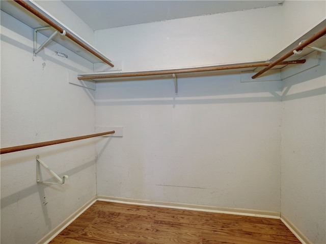 walk in closet featuring hardwood / wood-style flooring