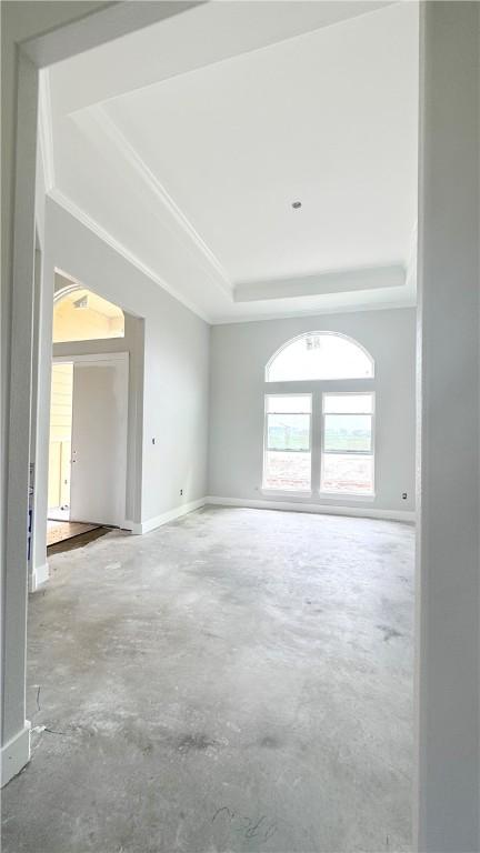 unfurnished room featuring a raised ceiling