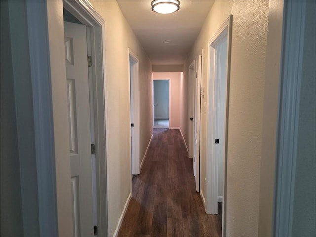 1540 Daytona Dr, Corpus Christi, TX 78415 - hallway featuring dark wood finished floors and baseboards