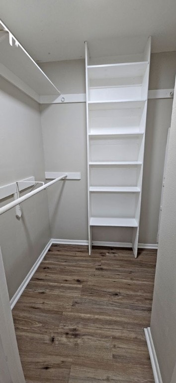 walk in closet with dark hardwood / wood-style flooring