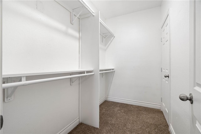 spacious closet with dark colored carpet