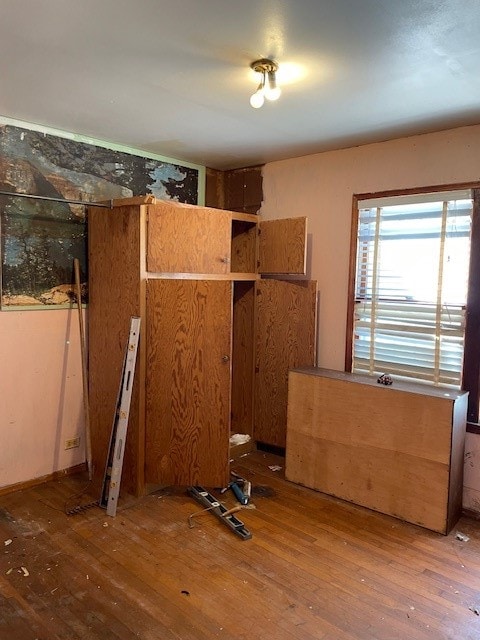 miscellaneous room featuring wood-type flooring