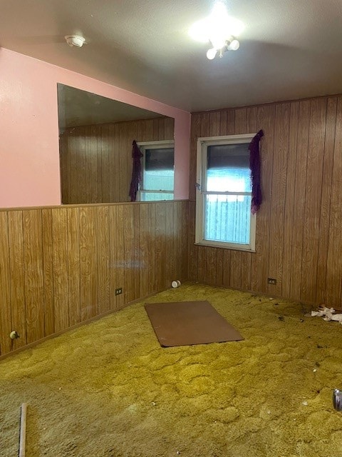 exercise area featuring wooden walls and carpet